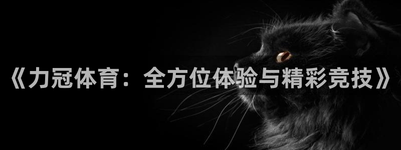 ug环球官网登录入口：《力冠体育：全方位体验与精彩竞技》