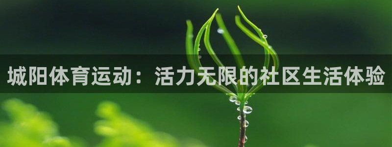 ug环球官网注册：城阳体育运动：活力无限的社区生活体验