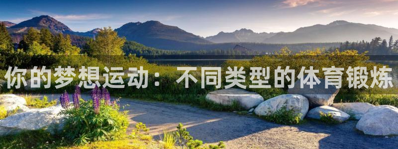 ug环球官网登录入口：你的梦想运动：不同类型的体育锻炼