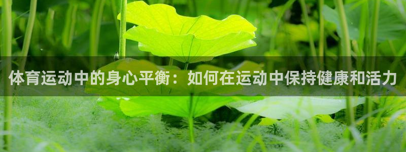 ug环球官网注册：体育运动中的身心平衡：如何在运动中保持健康和活力