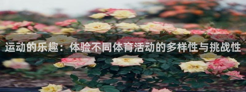 ug环球官网注册：运动的乐趣：体验不同体育活动的多样性与挑战性