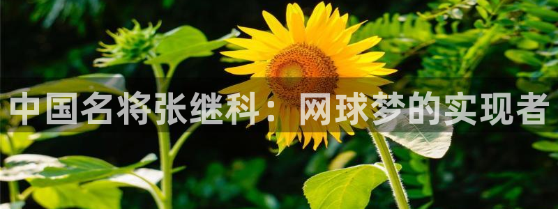 ug环球官网：中国名将张继科：网球梦的实现者